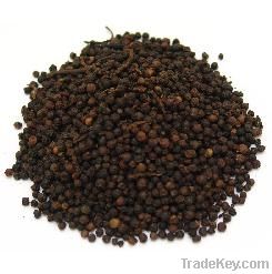 Black pepper