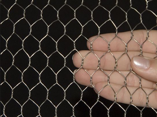 wire mesh netting