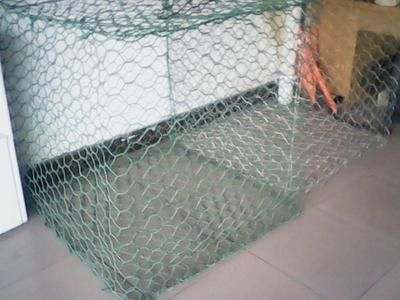 hexagongal wire mesh