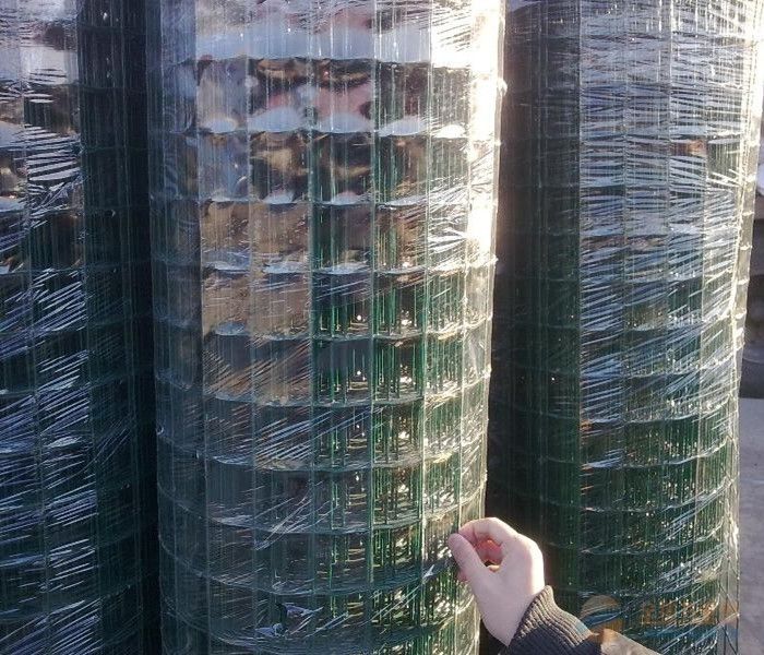 wire mesh welded