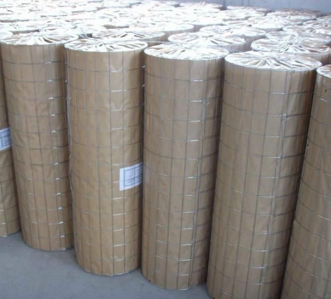 1/2" Galvanized Welded Wire Mesh Roll 