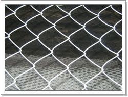 Chain Link Wire Mesh