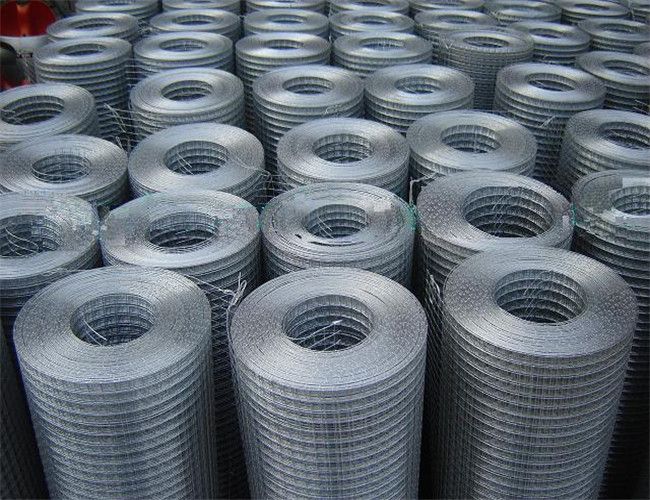 Best Selling!Galvanized Welded wire mesh(ISO9001)