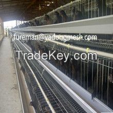 Layer Chicken Battery Cages for Sale
