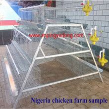 Popular A-Type Chicken Layer Battery Cage