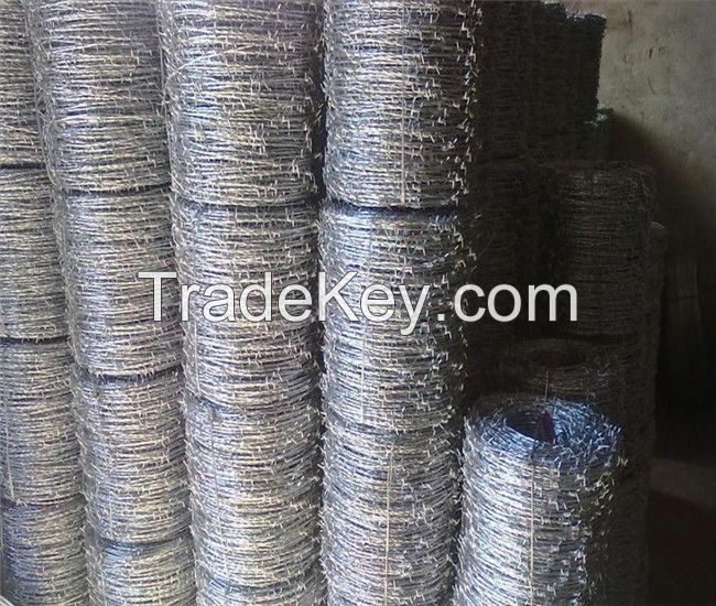 Anping factory!! search airport prison barber razor wire mesh fence