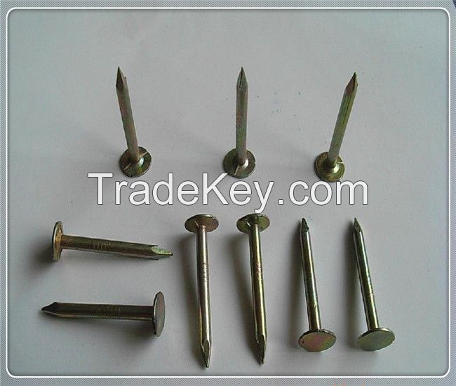 Cheap common wire nail (ISO factory)