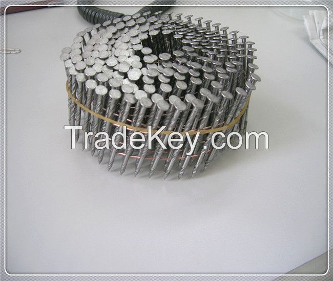 polish common wire nails manufacturer