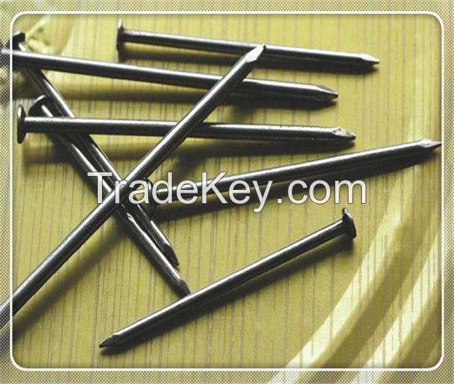 1.5", 2", 2.5", 3" Polish Common Nails from dingzhou factory