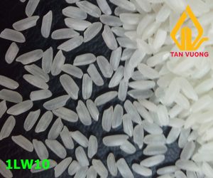 Best quality Long Grain White Rice 5% Broken