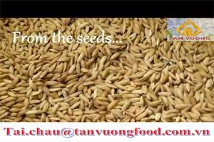 Vietnamese Long Grain White Rice, 25% Broken