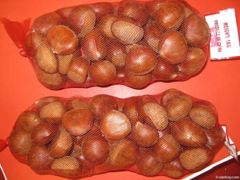 Fresh Chestnut