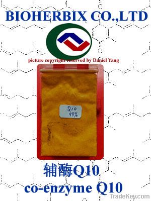 coenzyme Q10