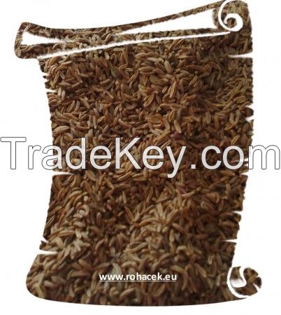 caraway