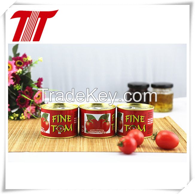70g canned tomato paste with competitive price