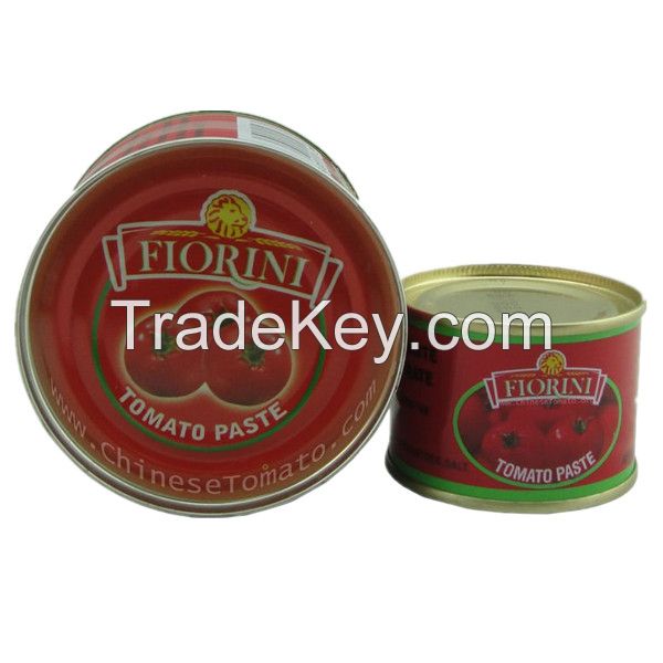 210g canned tomato paste shipping from china