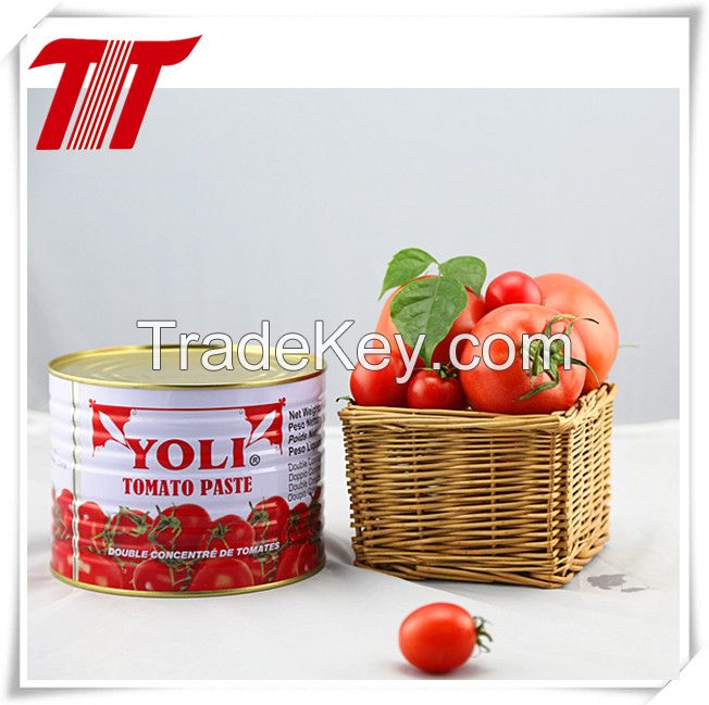 2.2kg canned tomato paste manufacturer
