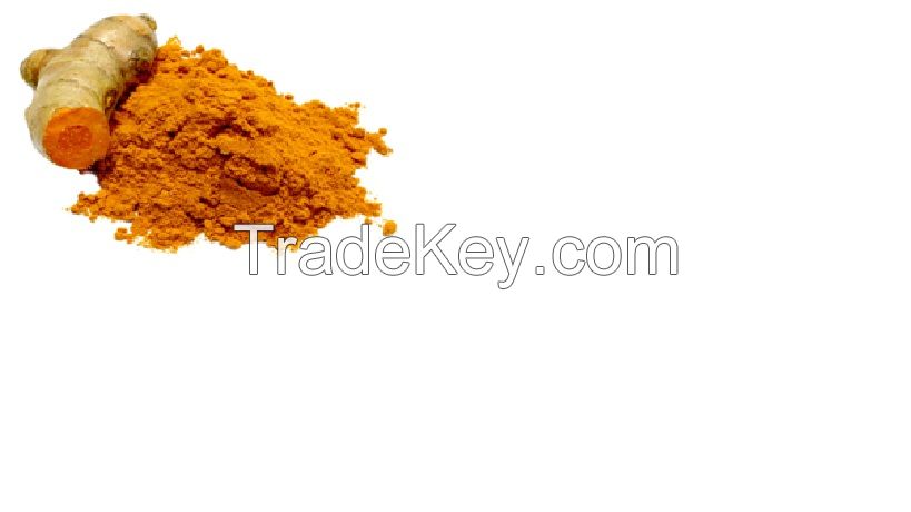 Turmeric Powder