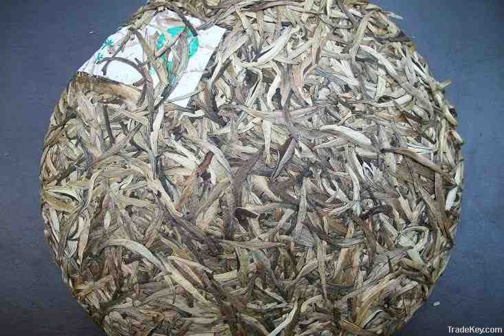 white tea wholesale tea factory price