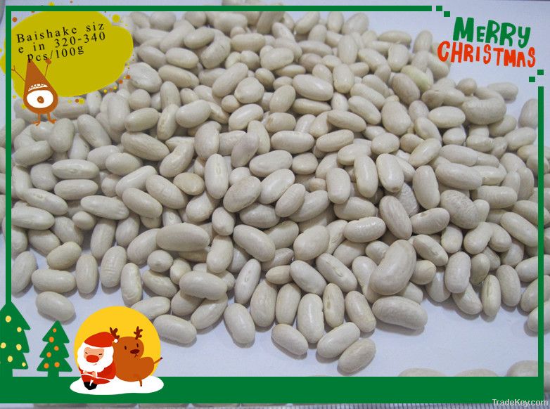 White Kidney Beans size 200-240/100g