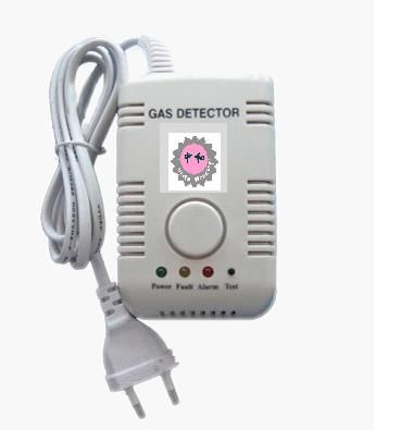 Household gas leaking detector