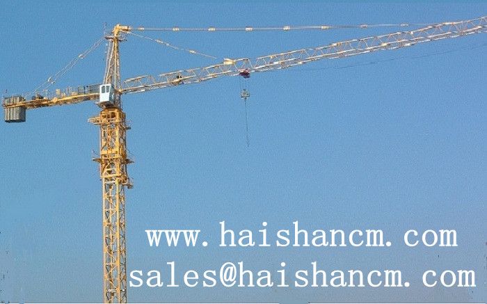 Tower crane QTZ80