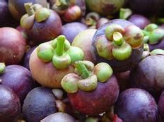 FRESH FRUITS FROM THAILAND.