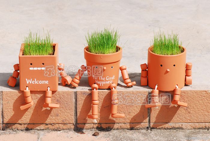 Mini gardening, grass doll, DIY toys, robots magic grass cultivation