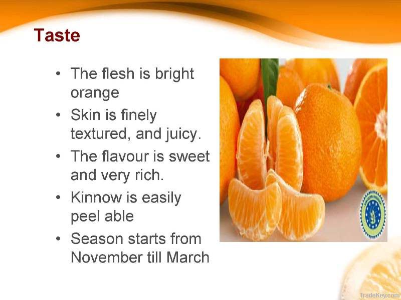 Citrus Fruit Fresh Mandarin (Kinnow)