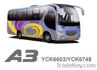 Medium bus(YCK6603/YCK6748)