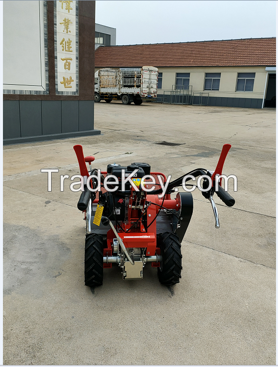 Garden Farm Track Lifting Function Mini Dumper Small Crawler Transporter Dumping Truck