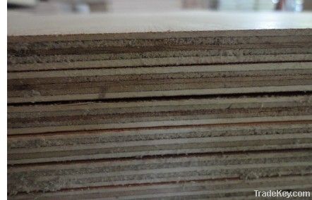 plywood, poplar, okoume, bintangor, birch, pine, pencil cedar faced plywood