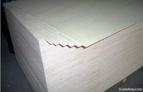 poplar plywood, commercial plywood, okoume, bintangor faced plywood