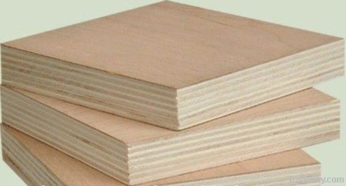 bintangor plywood, commercial plywood, pine, birch faced plywood