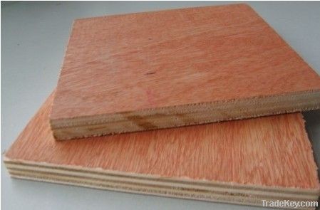 bintangor plywood, commercial plywood, pine, birch faced plywood