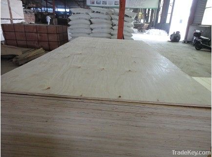 pine faced plywood, commercial plywood, okoume, birch faced plywood
