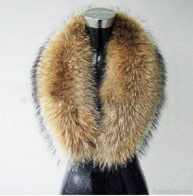 raccoon fur collar