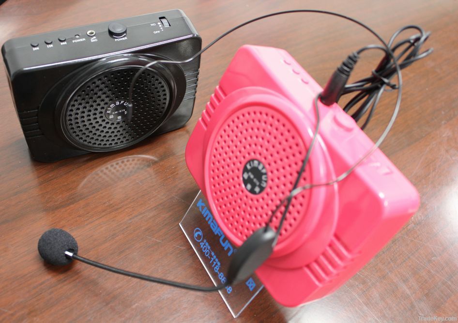 Portable Amplifier with USB and FM Radio