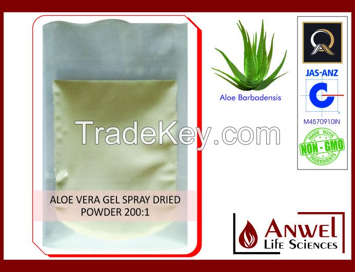 Aloe Vera Gel Spray Dried Powder 200X