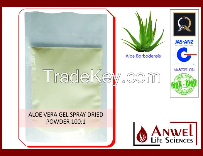 Aloe Vera Gel Spray Dried Powder 100X