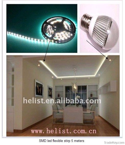 LED rope light and LED bulb