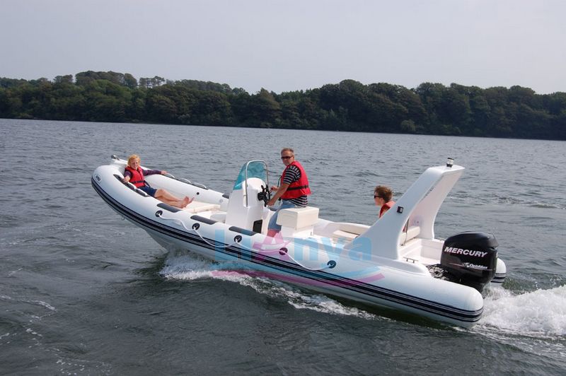 Liya 22feet Rigid Inflatable Boat, Rib Boat 6.6m