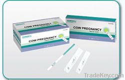 One-Step Cow Pregnancy Rapid Test