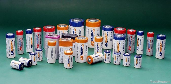 ER14335 2/3AA lithium battery SL-361, TL-2155, TL-4955, TL-5155,