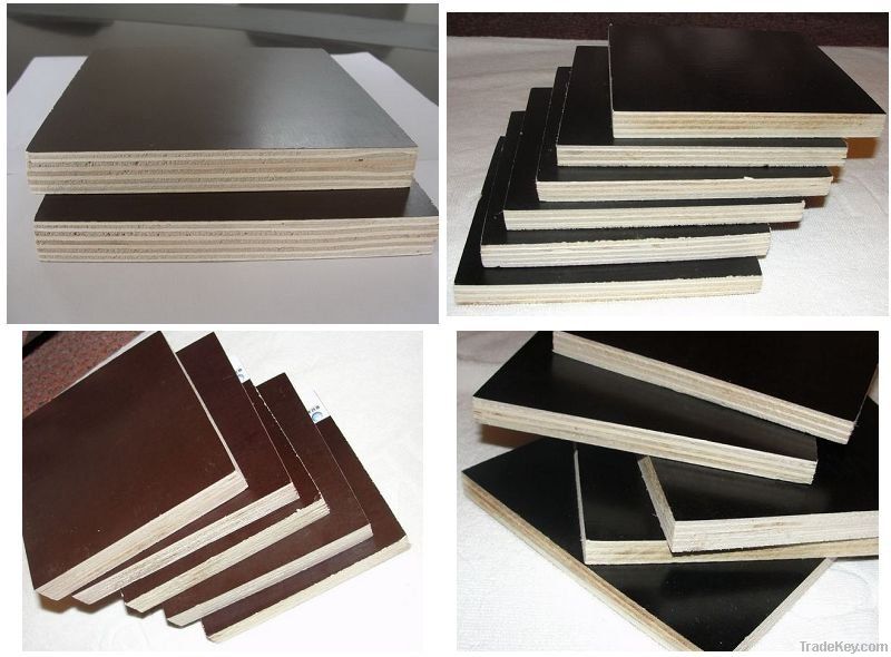 High Structure Strength Film Faced Plywood Used for Construction