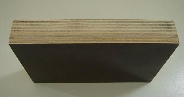 1250*2500mm Poplar core Film Faced Plywood