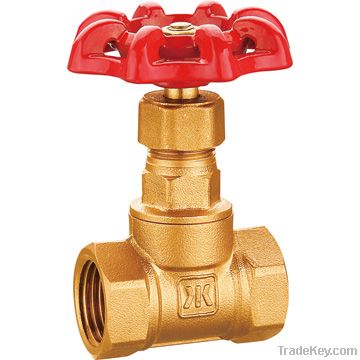 Brass stop valves/globe valves/pipe fittings