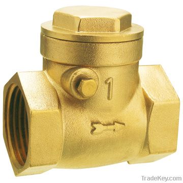 Brass check valves/check valve/brass valves/non return valves