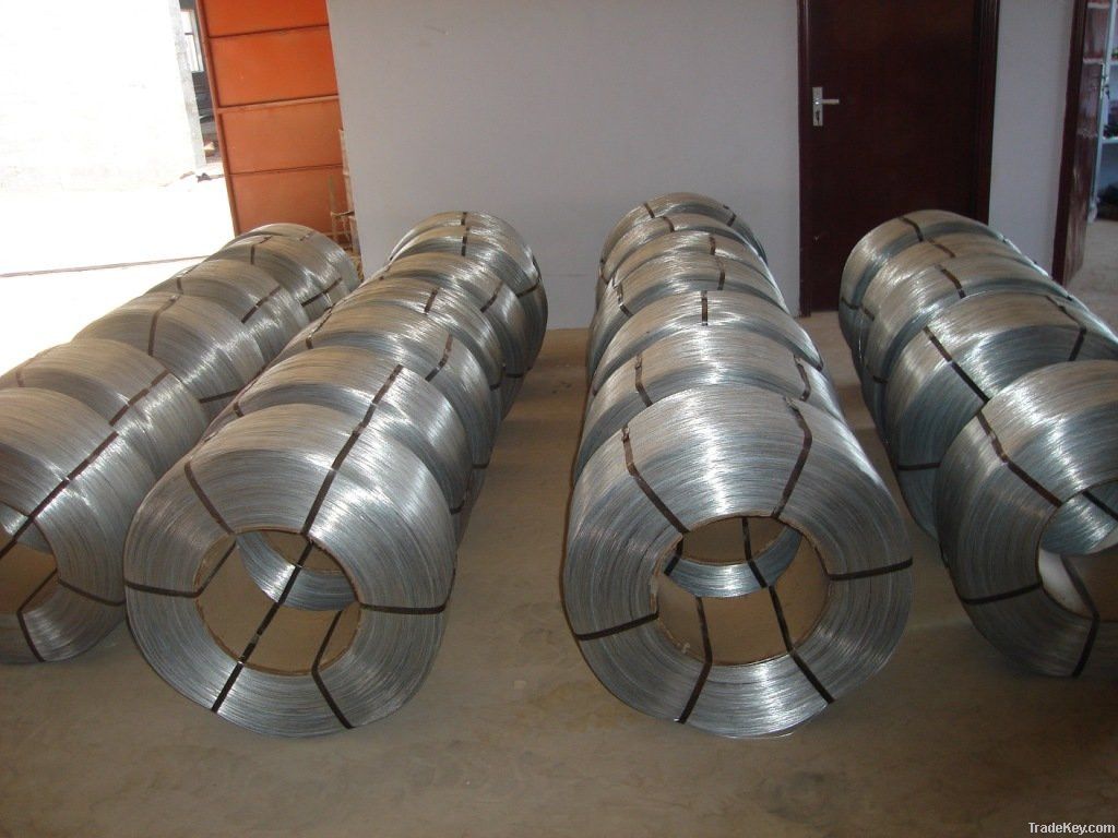 Galvanized Iron Wire(hot dip & electr galvanized)