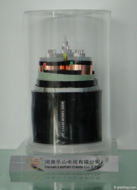 XLPE insulated steel wire armored powercable